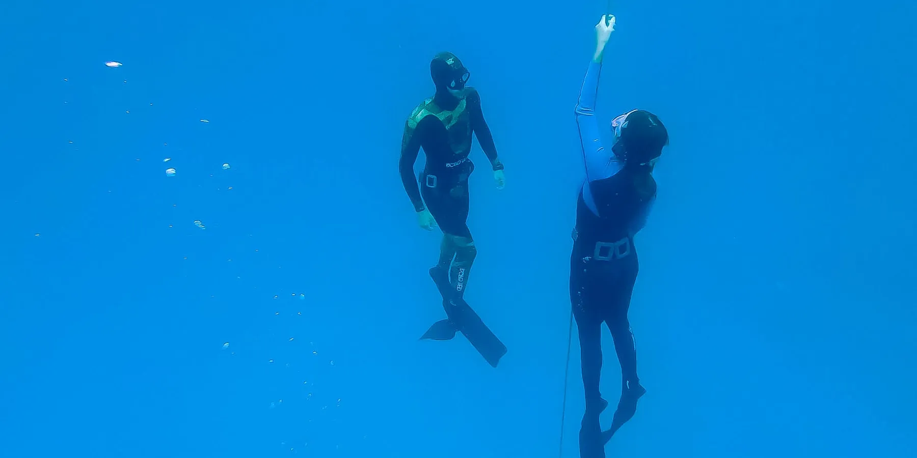 FreeDiving