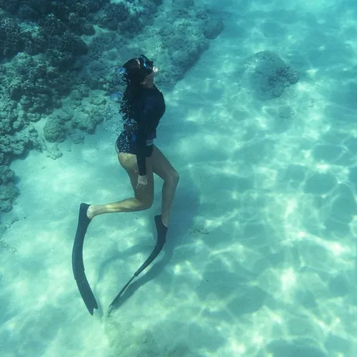 FreeDiving 1